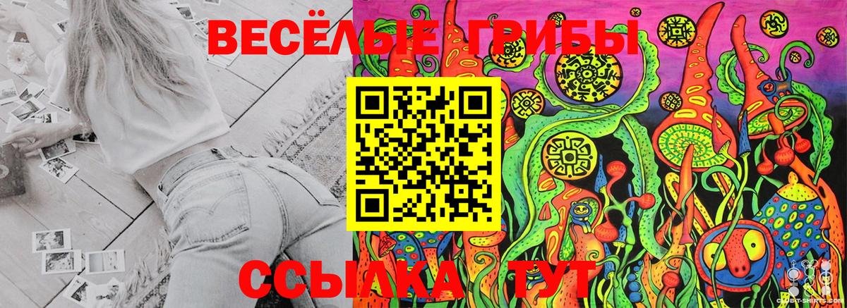 Ефремов  купить   Вход с VPN  Галлюциногенные грибы MAGIC MUSHROOMS  Псилоцибиновые грибы MAGIC MUSHROOMS 